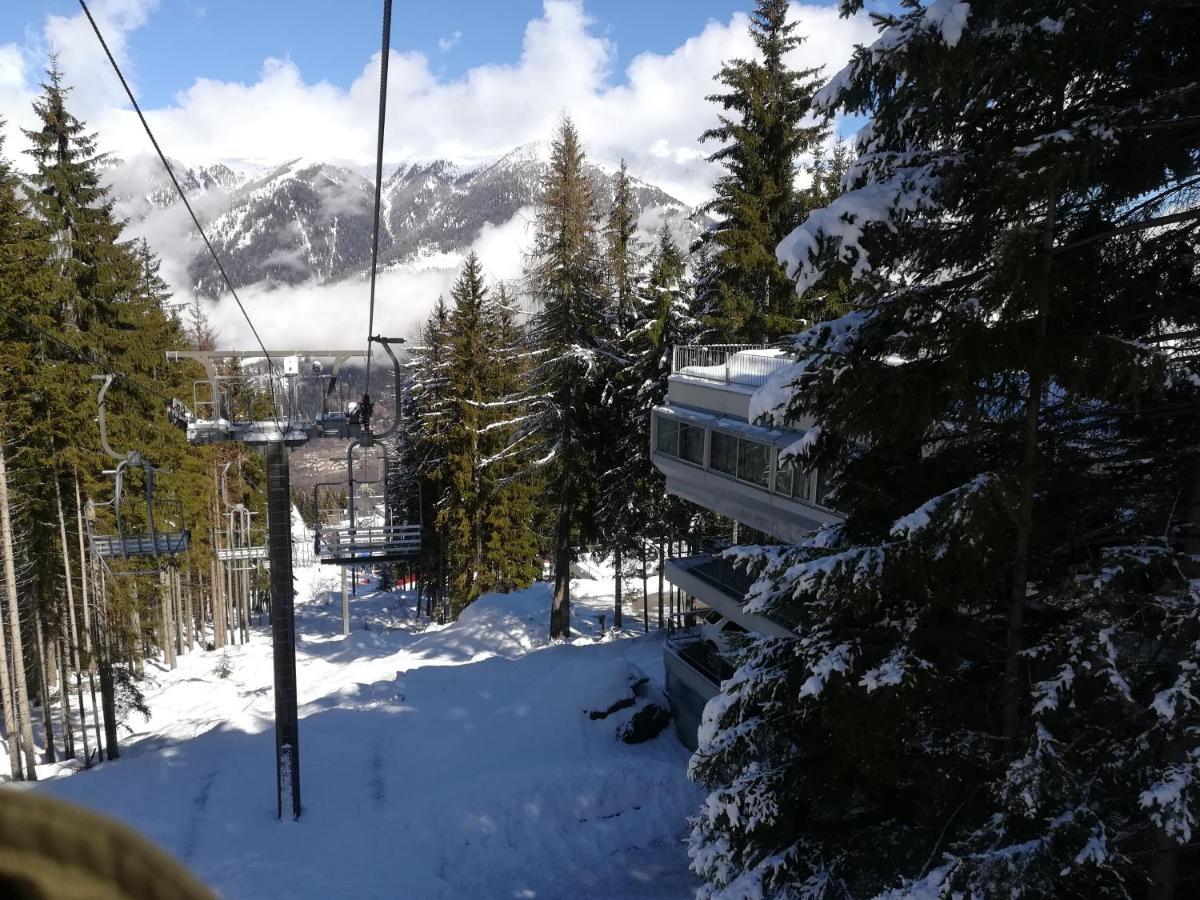 Sole Alto Appartamenti Montana Mezzana (Trentino Alto Adige) Exterior foto