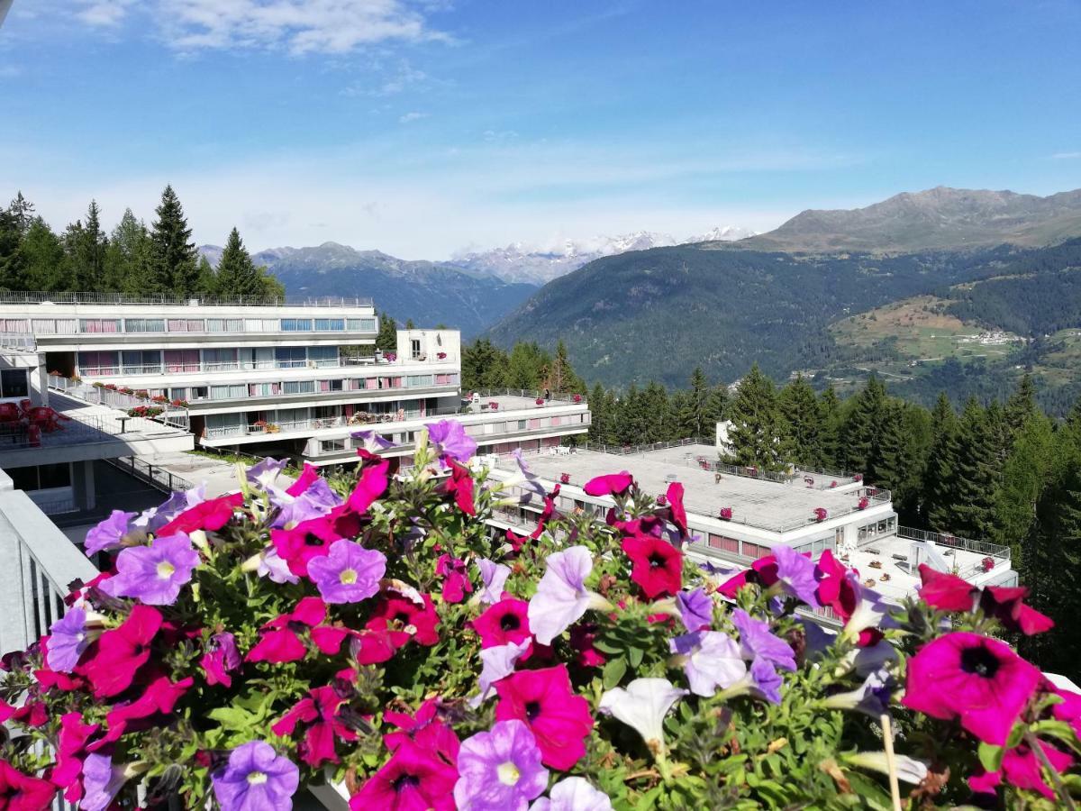 Sole Alto Appartamenti Montana Mezzana (Trentino Alto Adige) Exterior foto